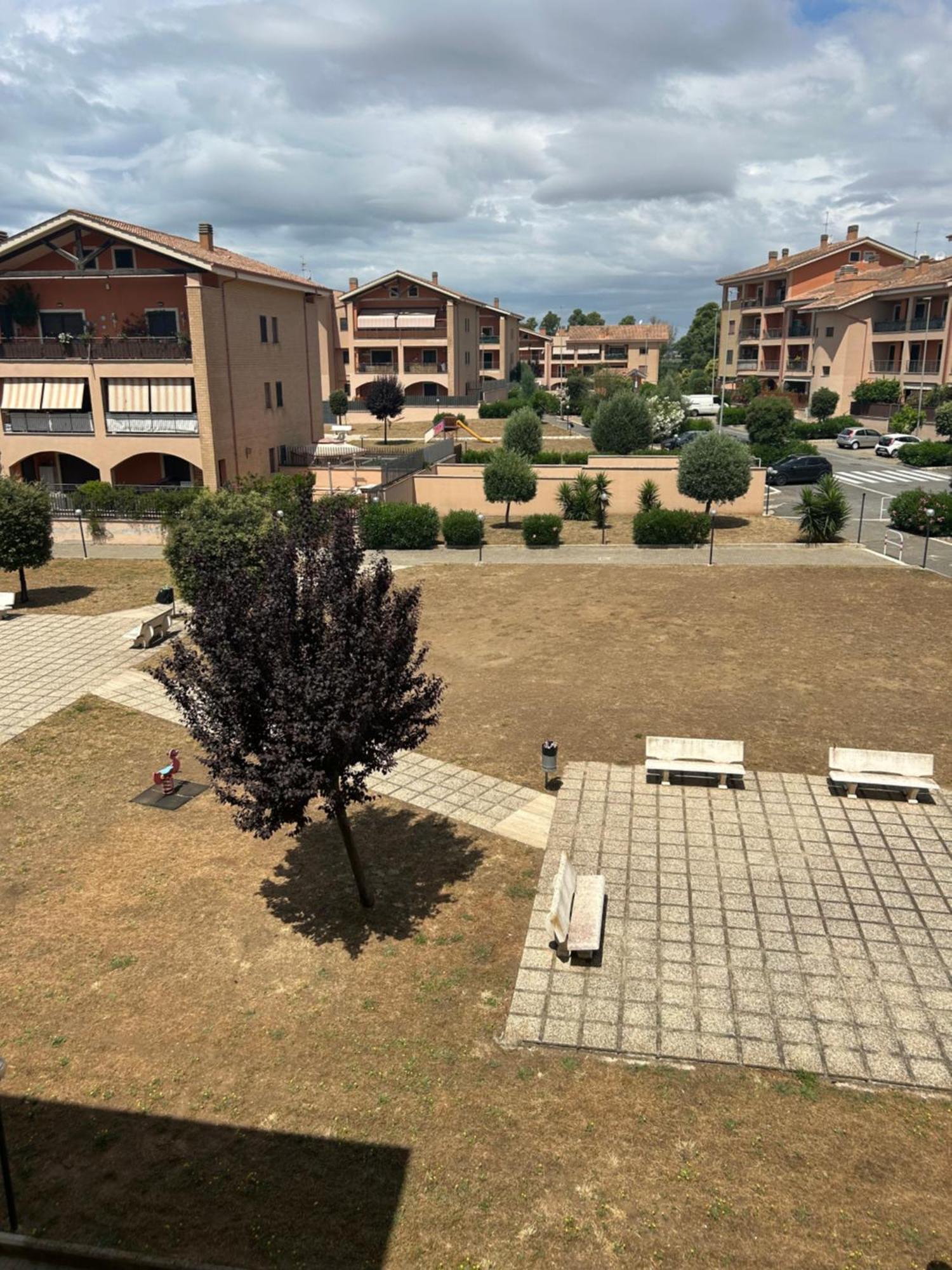 Roma Mare Apartment Palidoro Eksteriør billede